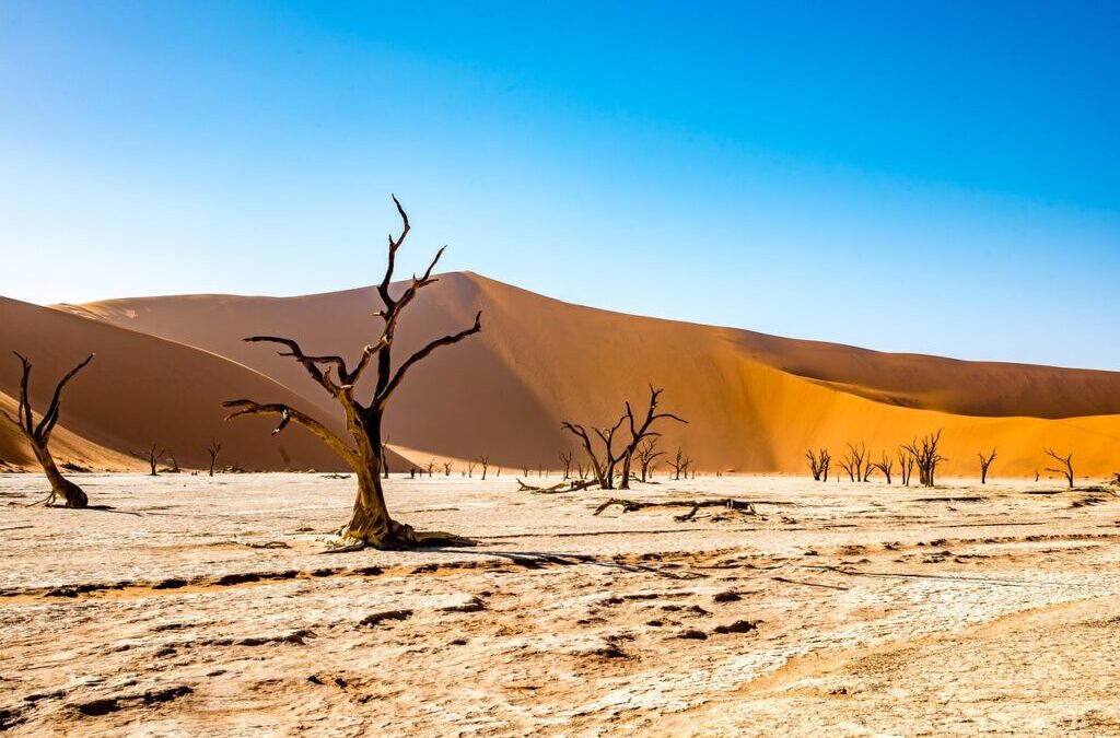Stop Lake Drought With Conservation – Our Lakes Are Thirsty:…