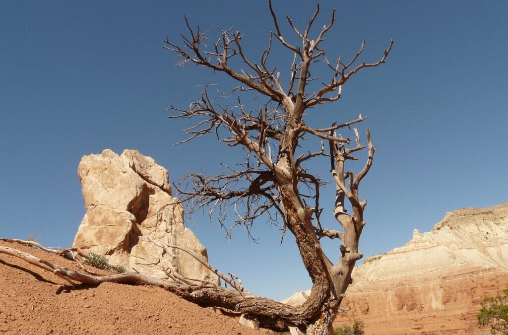 Stop Lake Drought With Conservation – Saving Our Lakes: Can…