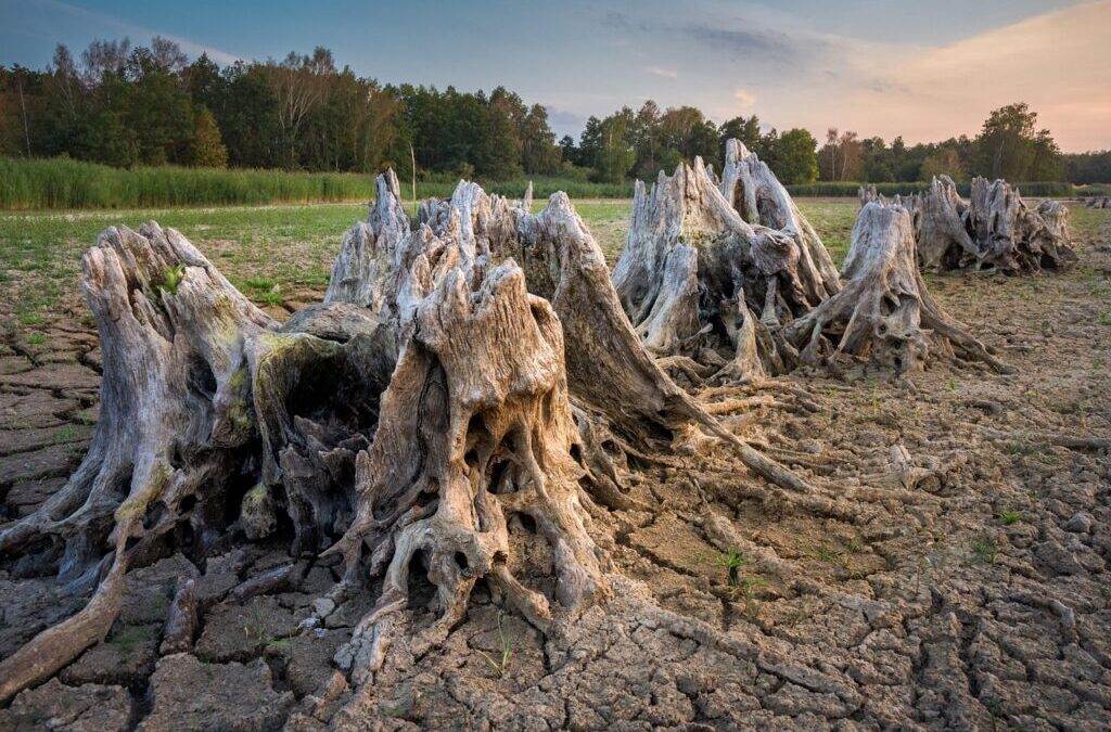 Strategies To Stop Lake Drought / Saving Our Lakes: A…