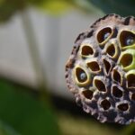 Trypophobia_and_25.-Water-saving-appliances-1024×682-1