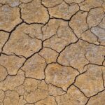 Ulama-The-collective-body-of-religious-scholars._and_Case-studies-of-water-scarcity-solutions-1024×634-1