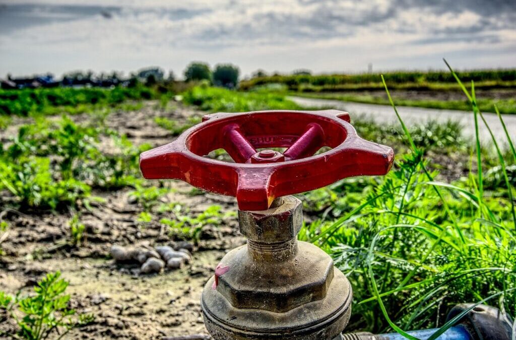 Water-efficient Irrigation Techniques ~ The Great Salt Lake: A Thirsty…