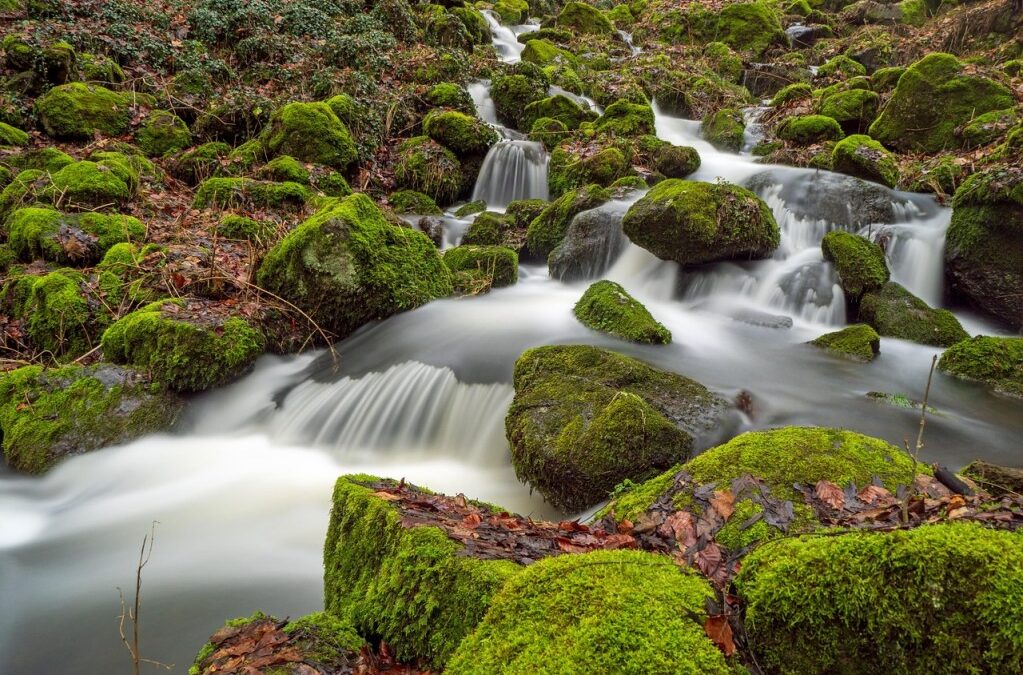 Water Resource Management | A Thirsty Land: Can Big Engineering…