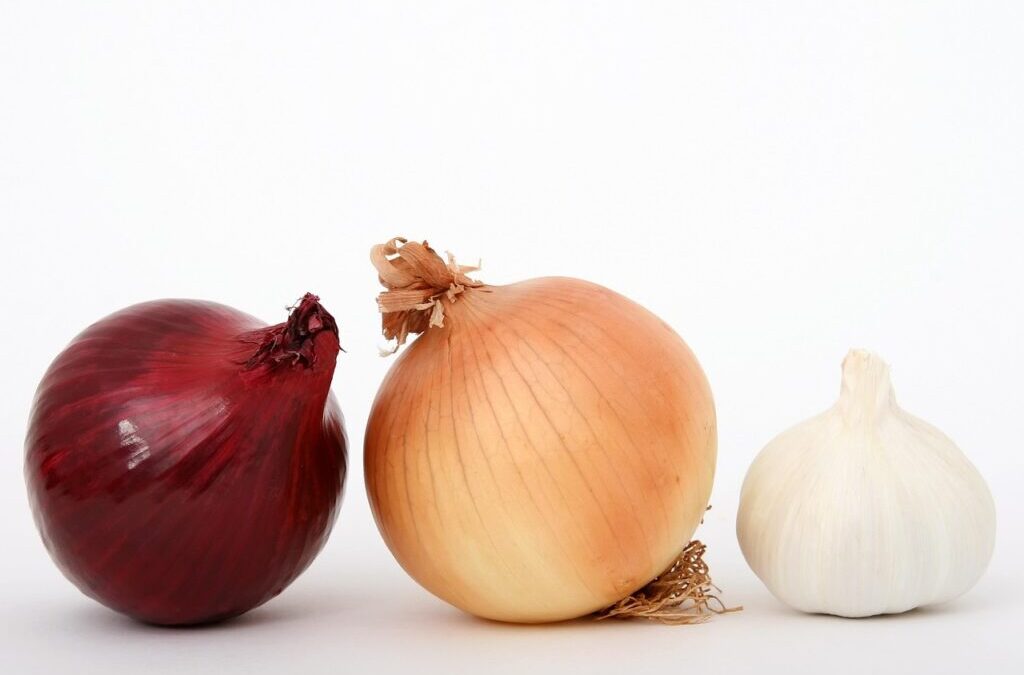 Green Onion Seasoning ~ Get Ready To Sizzle! Killer Sting…