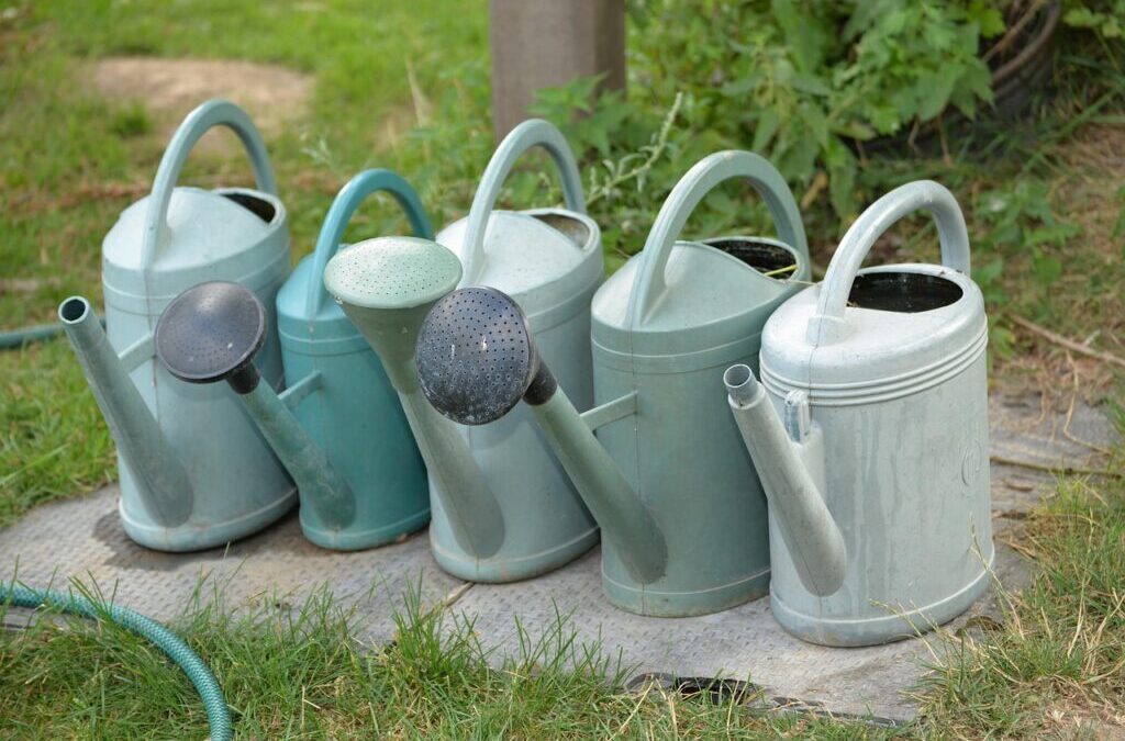 How Can Moving The Water Correct Years Of Drought? ~…