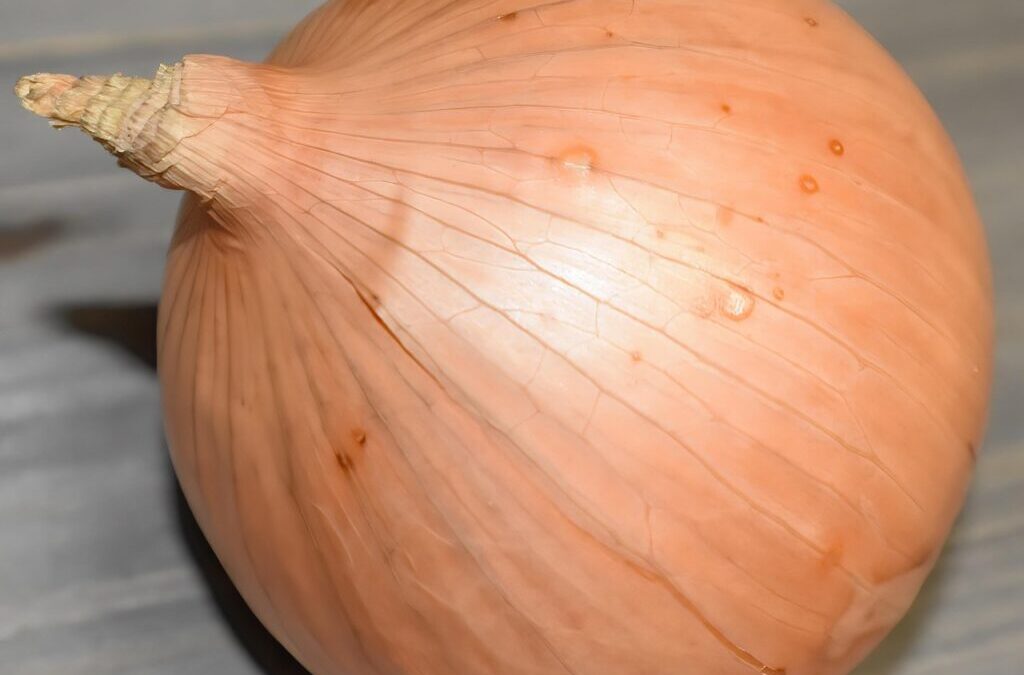 Red Onion Spice – The Spice Of Life: Unlocking Red…