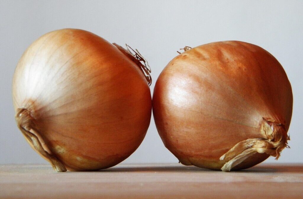 Red Onion Spice: Spice Up Your West Virginia Dishes With…