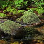 website-trends_and_Financial-incentives-for-water-saving-measures-1024×712-1