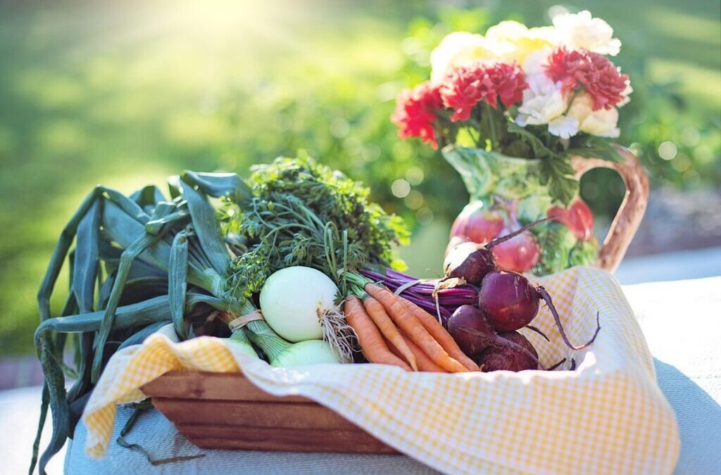 Nutritional Needs And Diet Plans. – Fuel Your Body: A…