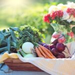 Nutritional-needs-and-diet-plans._and_peas-for-cholesterol-1024×682-1