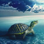 Turtle_and_pea-salad-912×1024-1